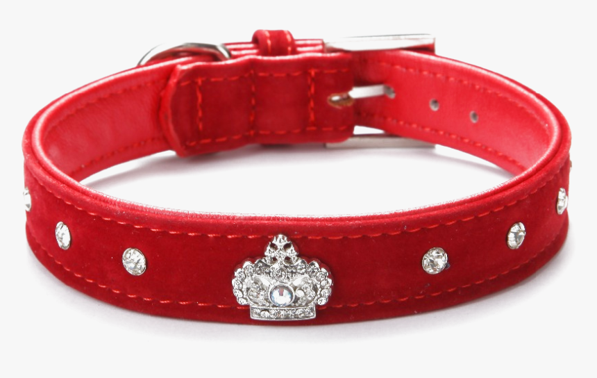 Transparent Pet Collar Png - Crown Dog Collar, Png Download, Free Download