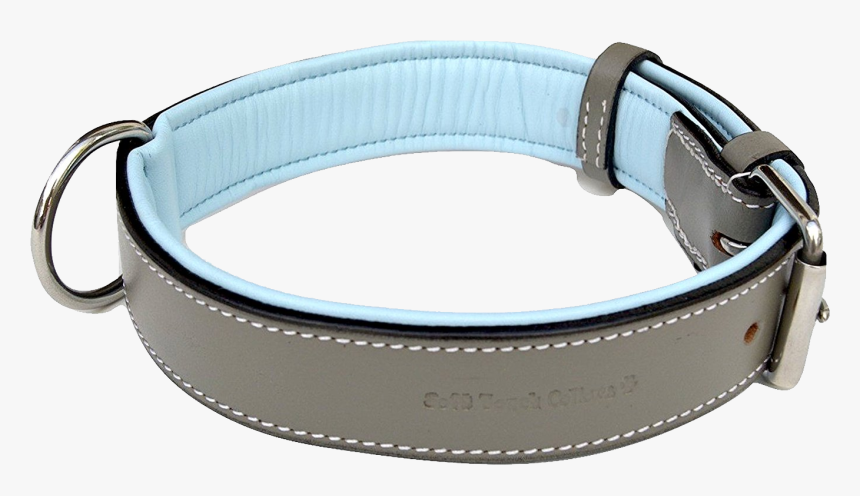 Dog Collar Png - Padded Leather Dog Collar, Transparent Png, Free Download