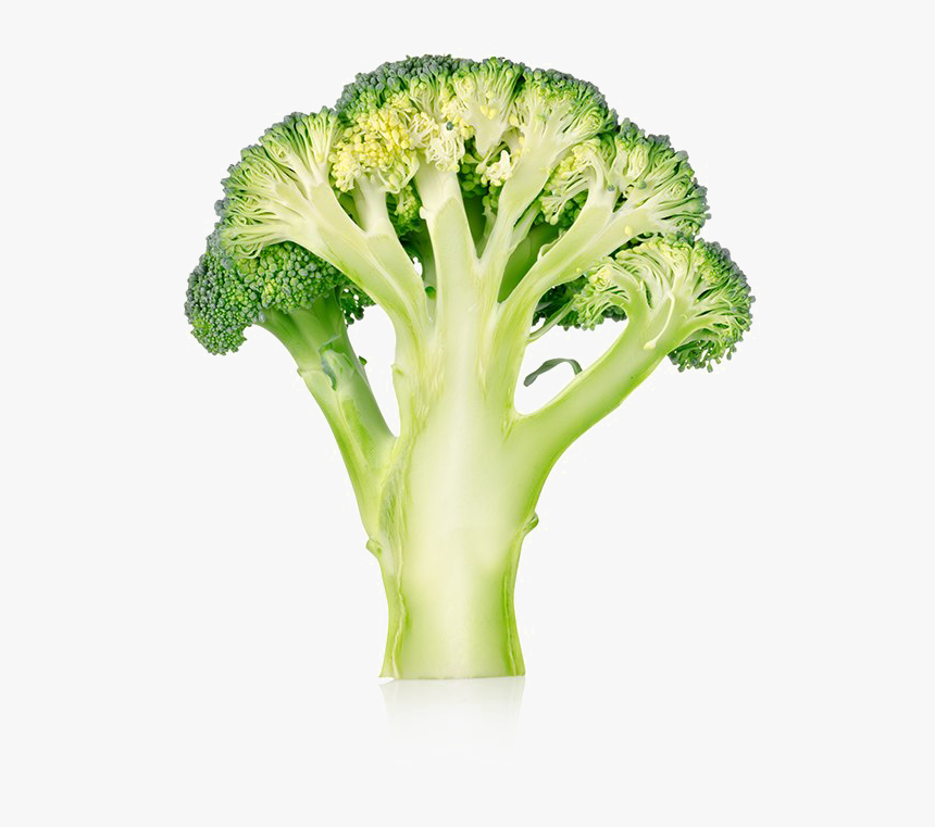 Broccoli Png No Background - Transparent Background Broccoli Png, Png Download, Free Download