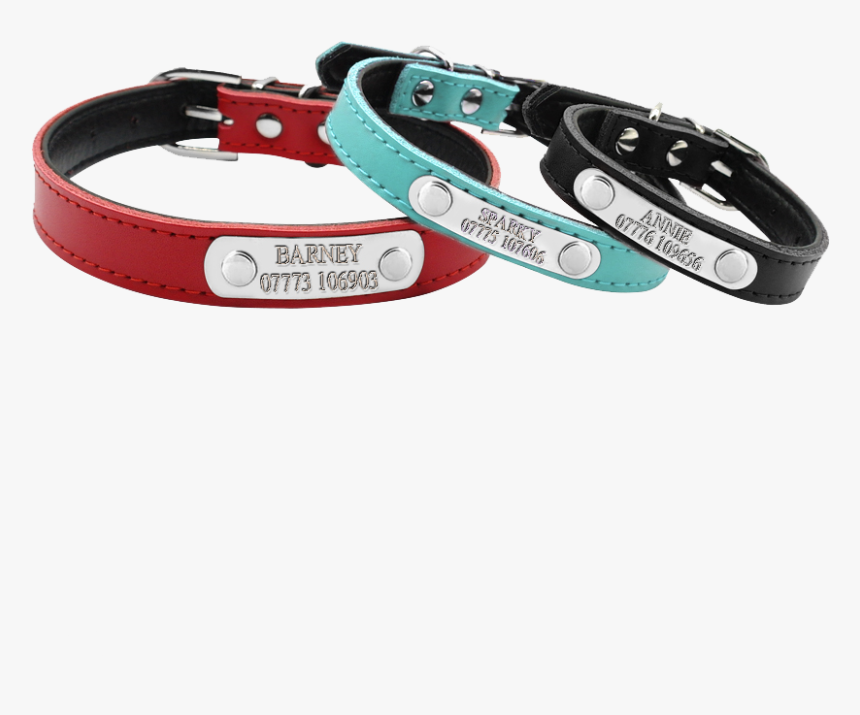 Transparent Dog Collar Png - Dog Collar, Png Download, Free Download