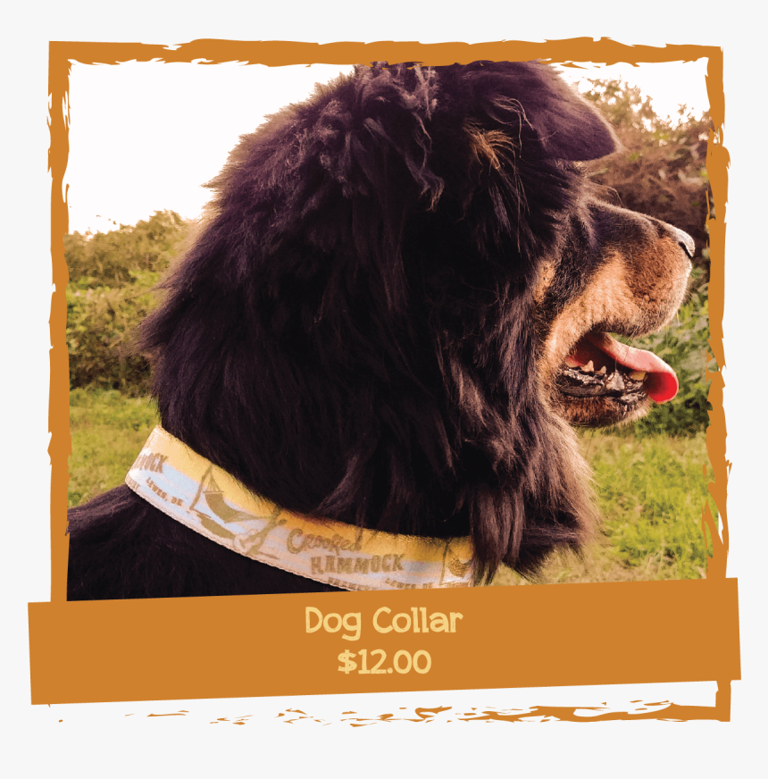 Crooked Hammock Dog-collar - Companion Dog, HD Png Download, Free Download