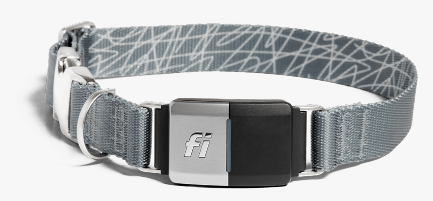 Fi Collar, HD Png Download, Free Download