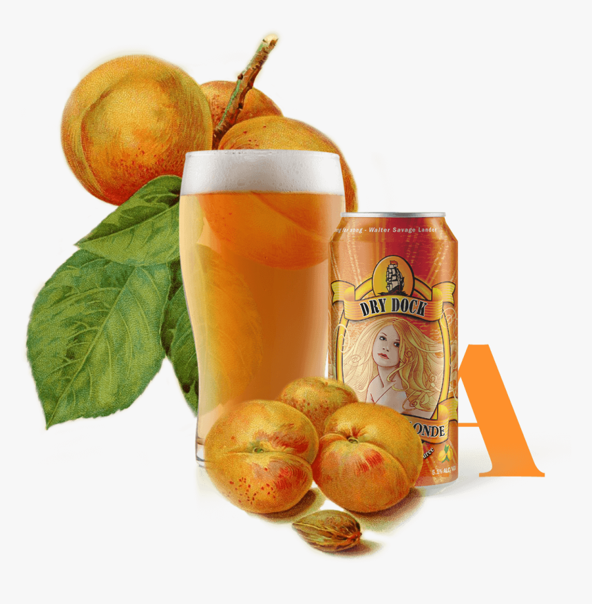 Apricot Blonde - Fruit Bear Soda, HD Png Download, Free Download