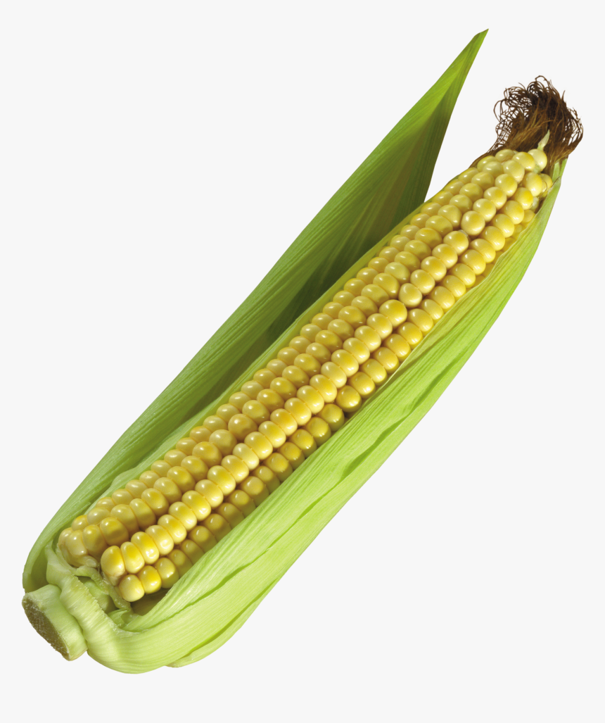 Download For Free Corn Icon - Ark Mais, HD Png Download, Free Download
