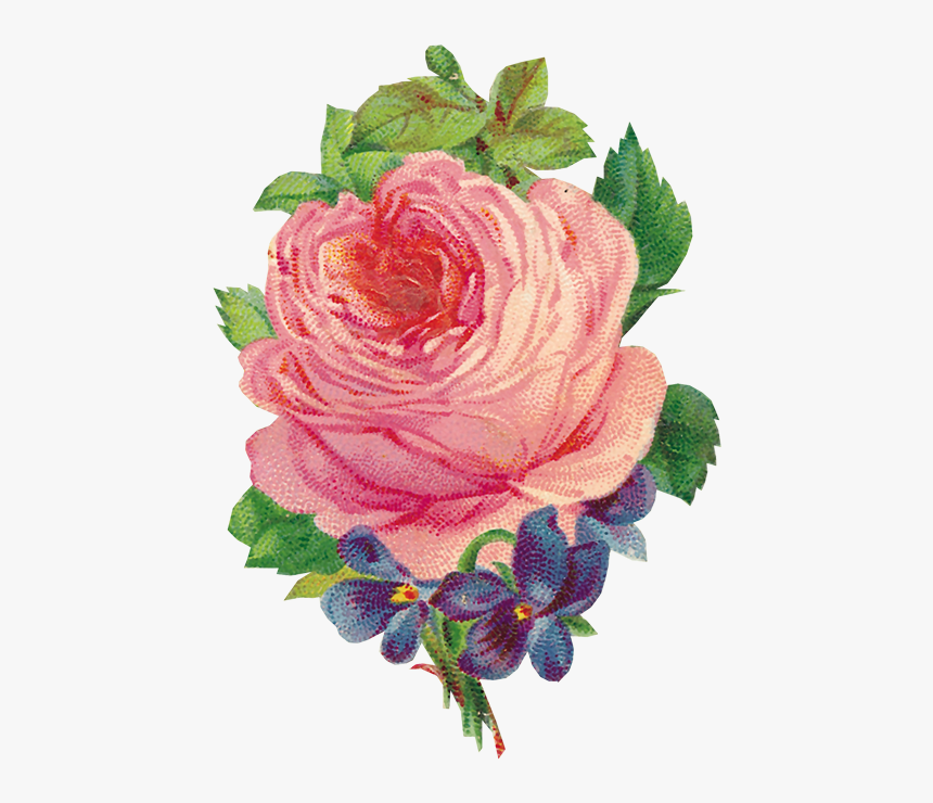 Schöne Rosa Vintage Rosehübscher Violetter Sprig Mauspad - Flores Rosas Vintage Png, Transparent Png, Free Download