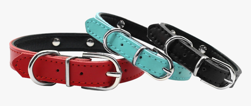 Dog, HD Png Download, Free Download