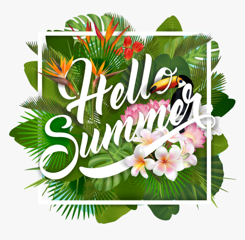 Tube Png Texte Summer - Summer Party Free Png, Transparent Png, Free Download