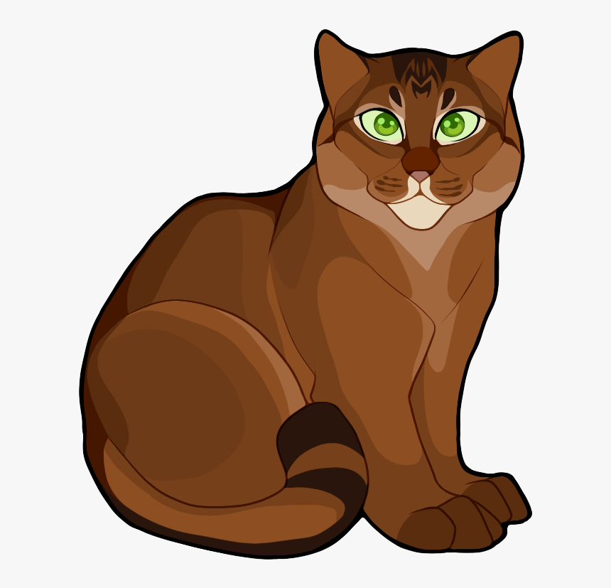 Warrior Cats Tabby, HD Png Download, Free Download