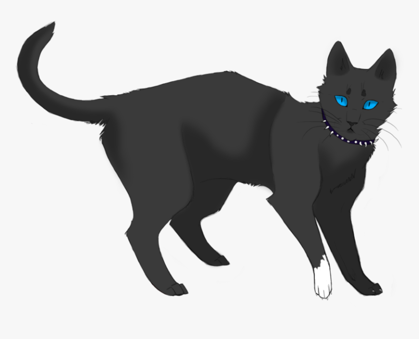 Scourge - Cartoon Transparent Background Cat Png, Png Download, Free Download