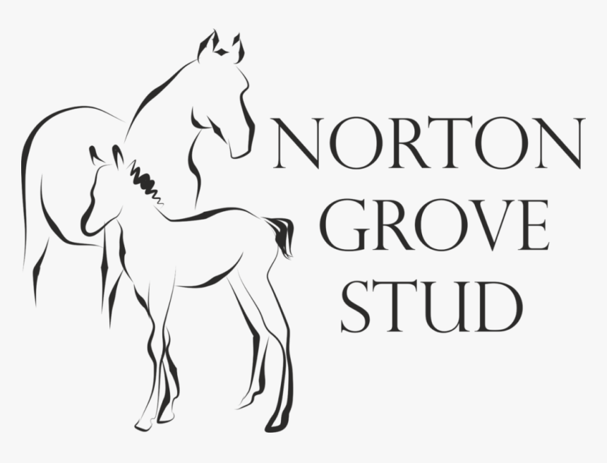 Norton Grove Stud Logo - Provectus, HD Png Download, Free Download