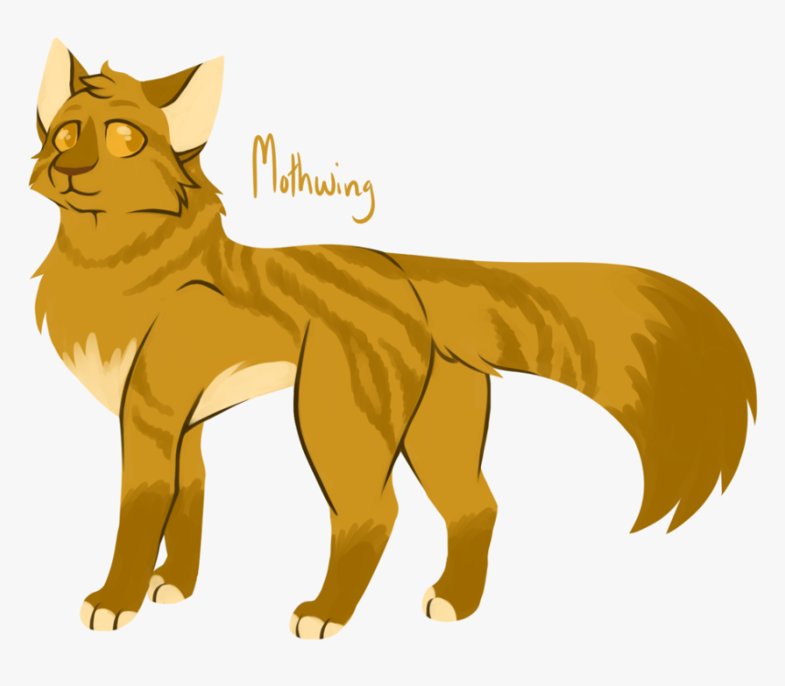 [100 Warrior Cats Challenge] - Warrior Cats Mothwing, HD Png Download, Free Download