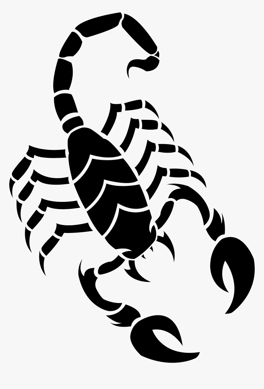 Transparent Tattoos Png - Scorpion Drawing, Png Download, Free Download