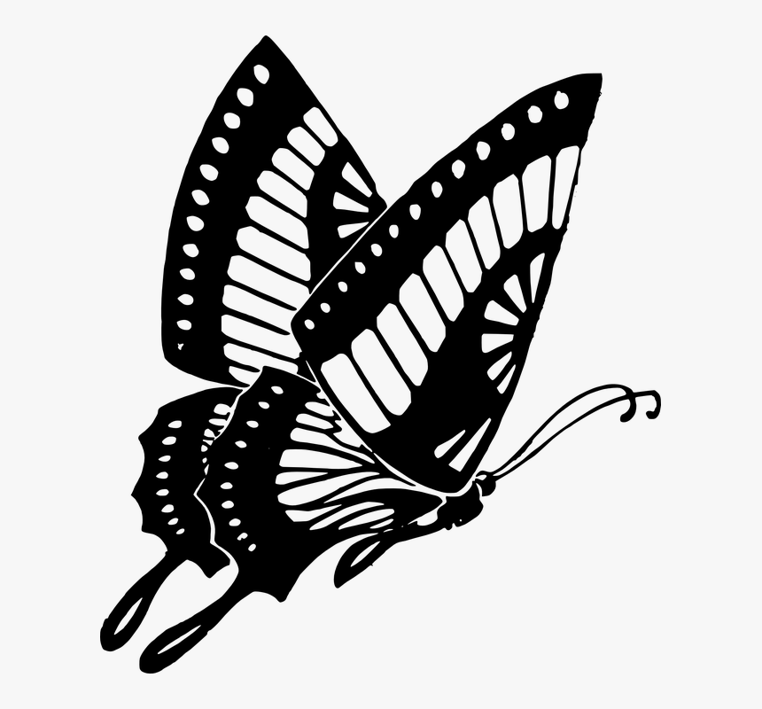 Butterfly Black Black And White Butterfly Clip Art - Butterfly Clipart Black And White, HD Png Download, Free Download