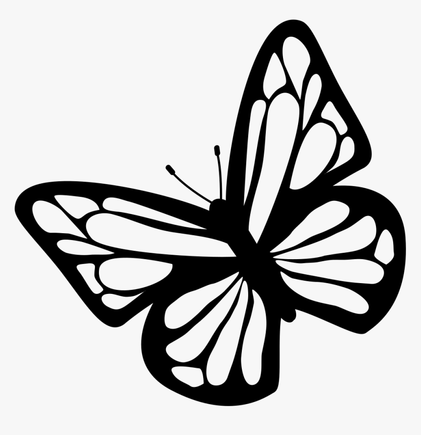 Butterfly Black And White Clipart Download Free Images - Butterfly Clipart Black And White, HD Png Download, Free Download