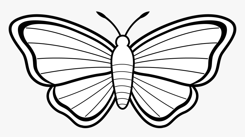 Butterfly Clip Art Black And White Free Clipart - Colouring Picture Of Butterfly, HD Png Download, Free Download