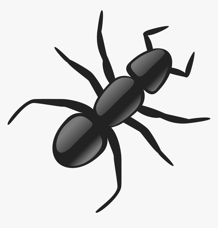 Ant Png - Ant Clip Art, Transparent Png, Free Download