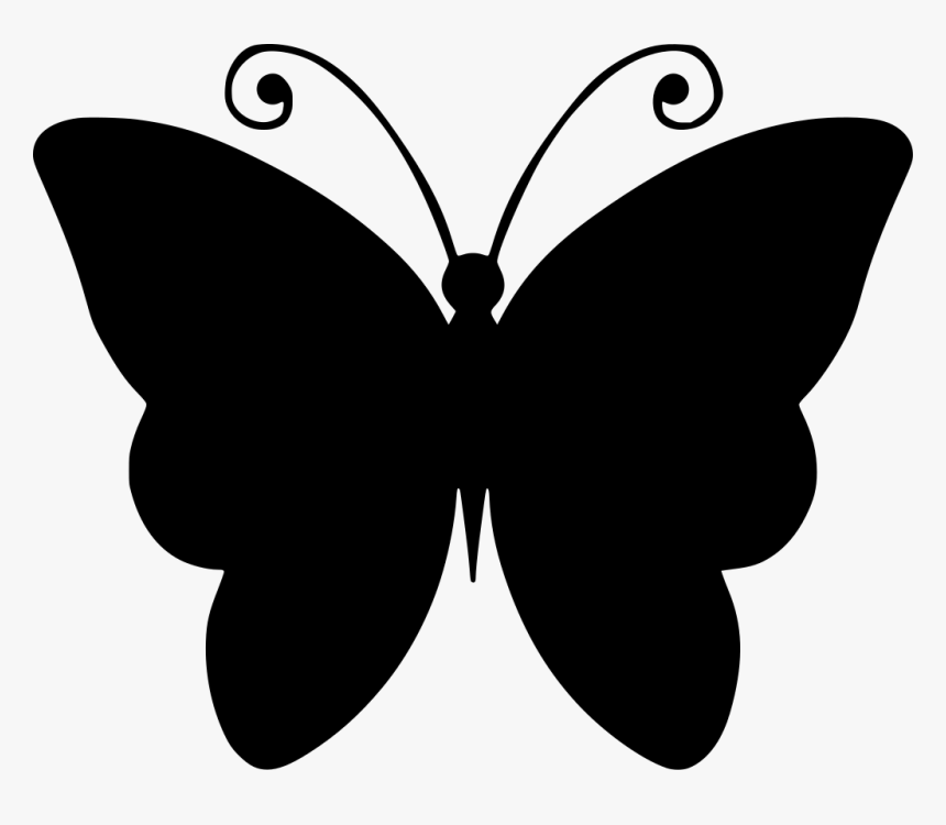 Black And White Butterfly Drawing