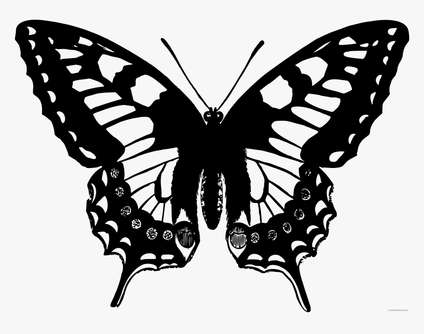 Black And White Butterfly Animal Free Black White Clipart - Swallowtail Butterfly Drawing, HD Png Download, Free Download