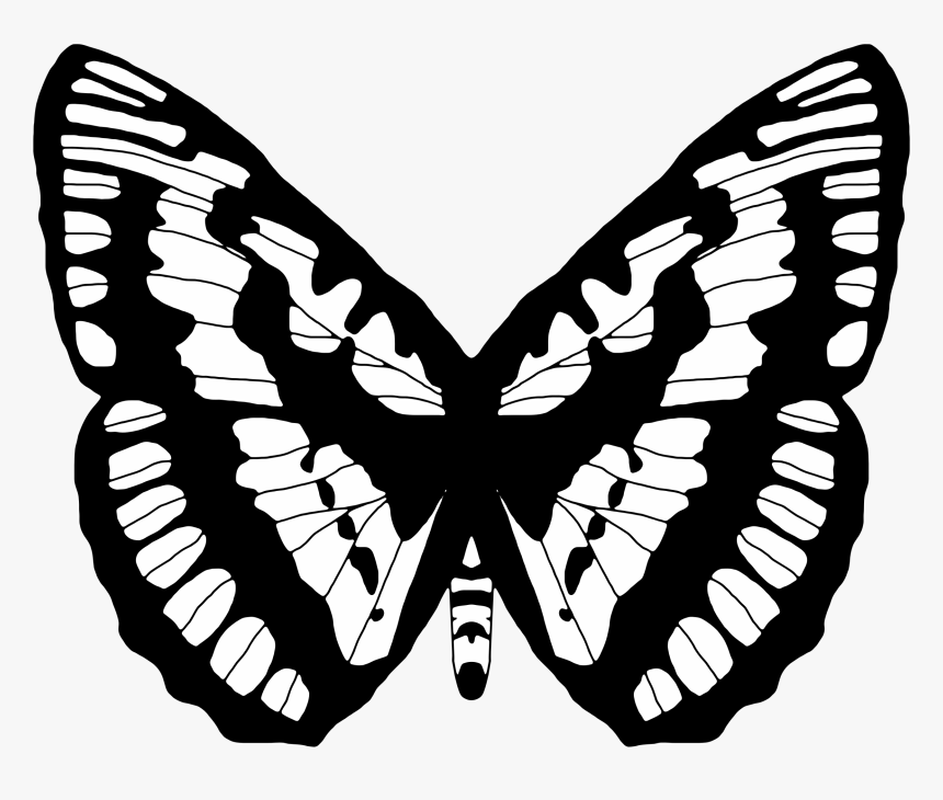 Black And White Butterfly 2 Clip Arts - Black And White Butterfly Designs, HD Png Download, Free Download