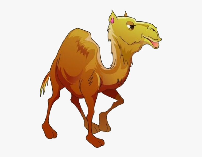 Funny Camel Clipart Pictures - Camel Funny Pic Clip Art, HD Png Download, Free Download