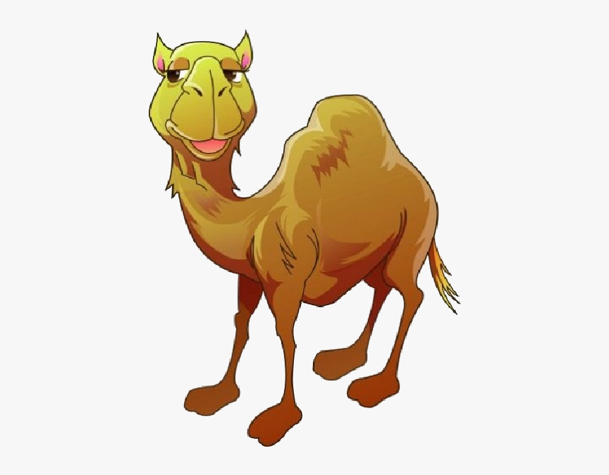 Funny Camel Clipart Pictures - Cartoon Camel Clipart Png, Transparent Png, Free Download