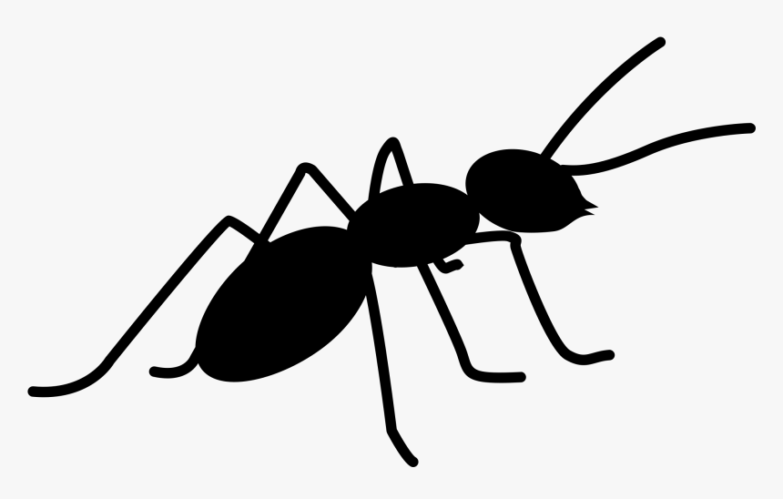 Collection Of Free Ant Drawing Basic Download On Ui - Ant Clipart Transparent Background, HD Png Download, Free Download