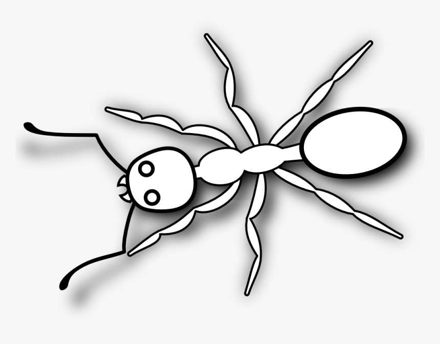 Fire Ant Black And White, HD Png Download, Free Download