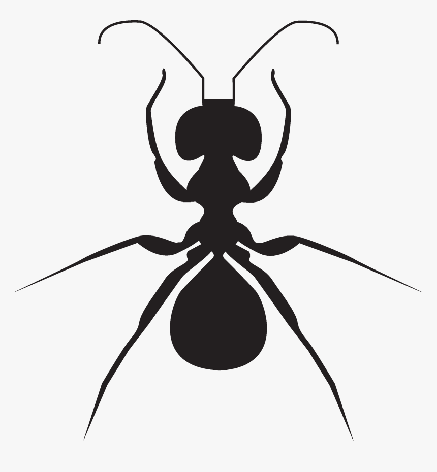 Ant Clipart , Png Download - Ant, Transparent Png, Free Download