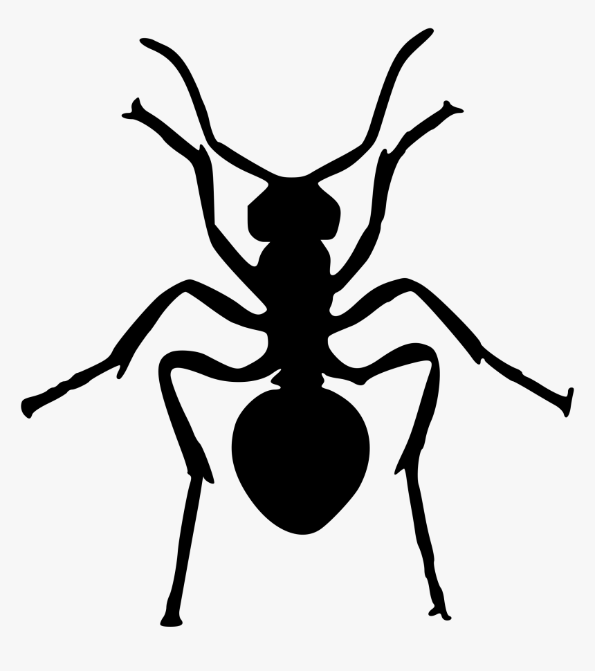 Clip Art Ant Silhouette - Silhouette Ant Clipart, HD Png Download, Free Download