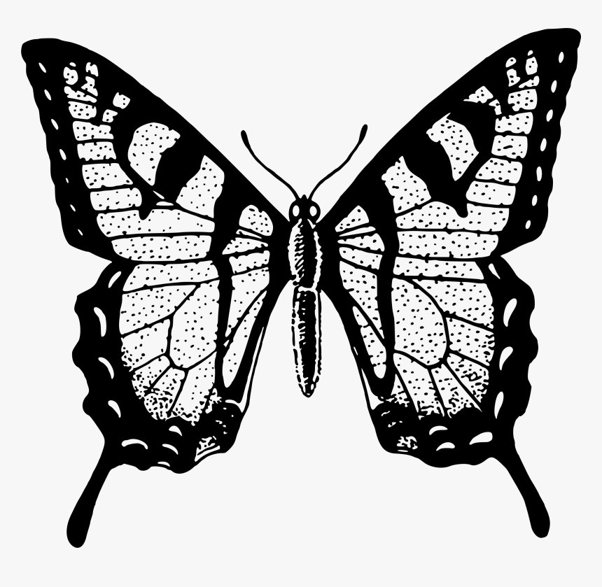 Transparent Butterfly Clipart Png Black And White - Black Butterfly Png Transparent, Png Download, Free Download