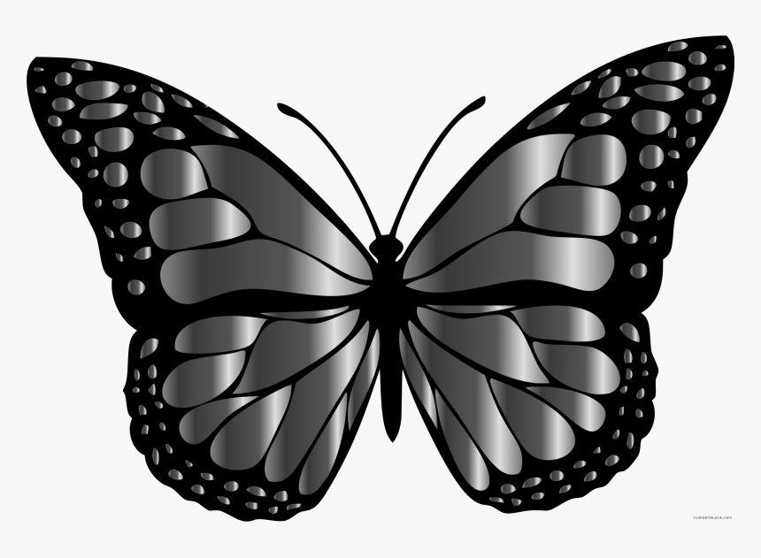 Monarch Butterfly Clipart Freeuse - Grey Butterfly Clipart, HD Png Download, Free Download