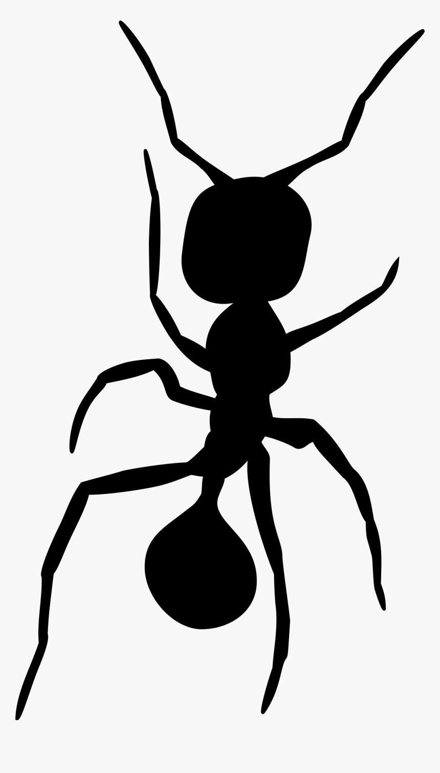 Transparent Ant Clip Art - Silhouette Ant Png, Png Download, Free Download