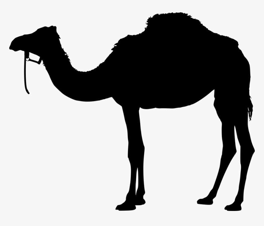 Camel, Animal, Silhouette, Back, Black, Desert, Design - Camel Png Hd, Transparent Png, Free Download