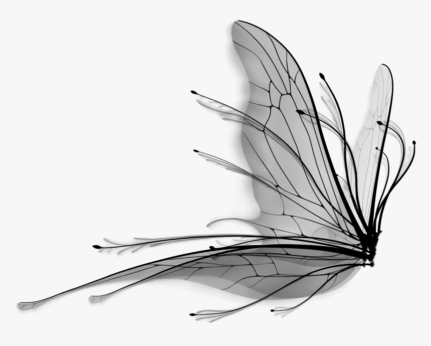 Butterfly Line Product Design Wing Download Hq Png - Line Art, Transparent Png, Free Download