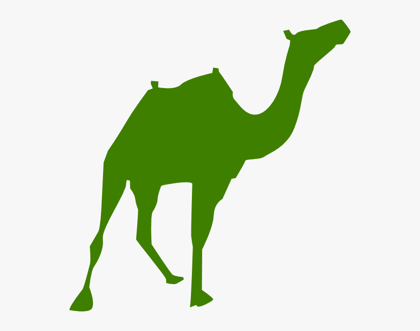Walking Camel Silhouette Svg Clip Arts - Giza Pyramids Vector, HD Png Download, Free Download