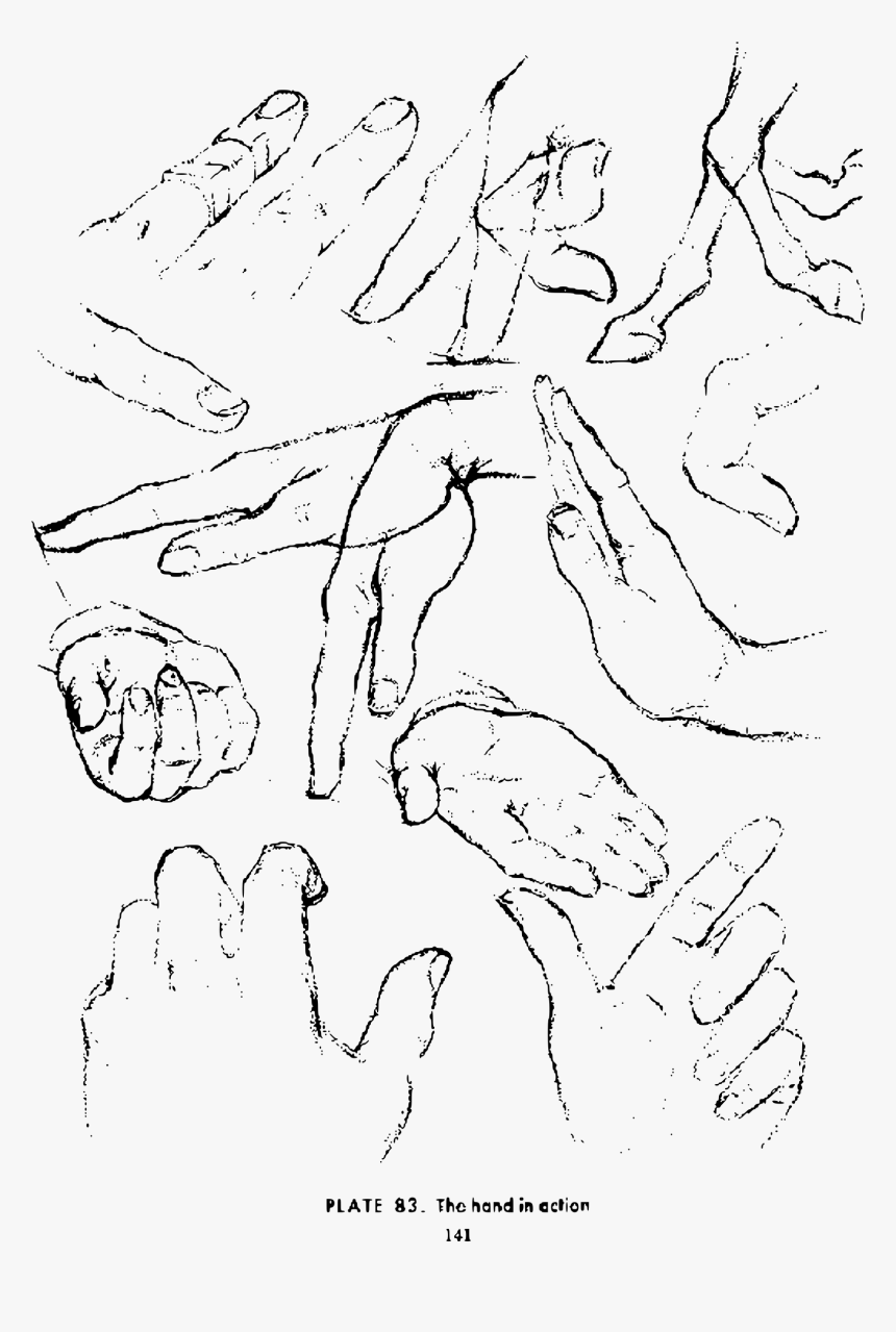 Transparent Hand Drawing Clipart - Drawing, HD Png Download, Free Download