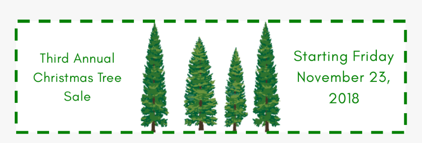Christmas Tree Sale At The Conshohocken Free Library - Pine Tree Vector Png, Transparent Png, Free Download