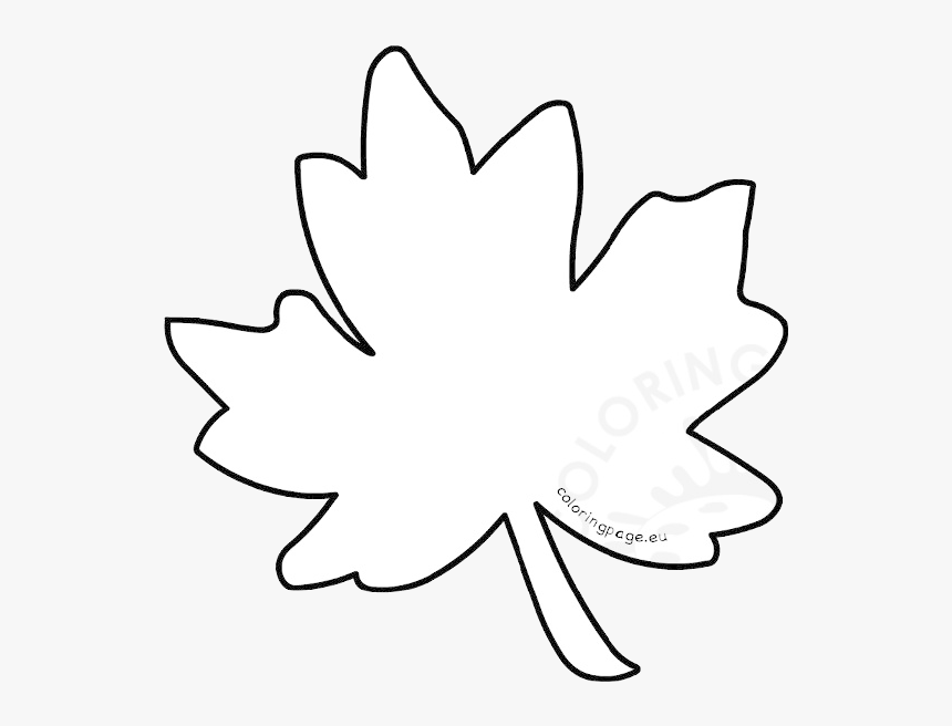 Leaf Outline Autumn Coloring Page Maple Clipart Transparent - Fall Outline Leaf Clipart, HD Png Download, Free Download