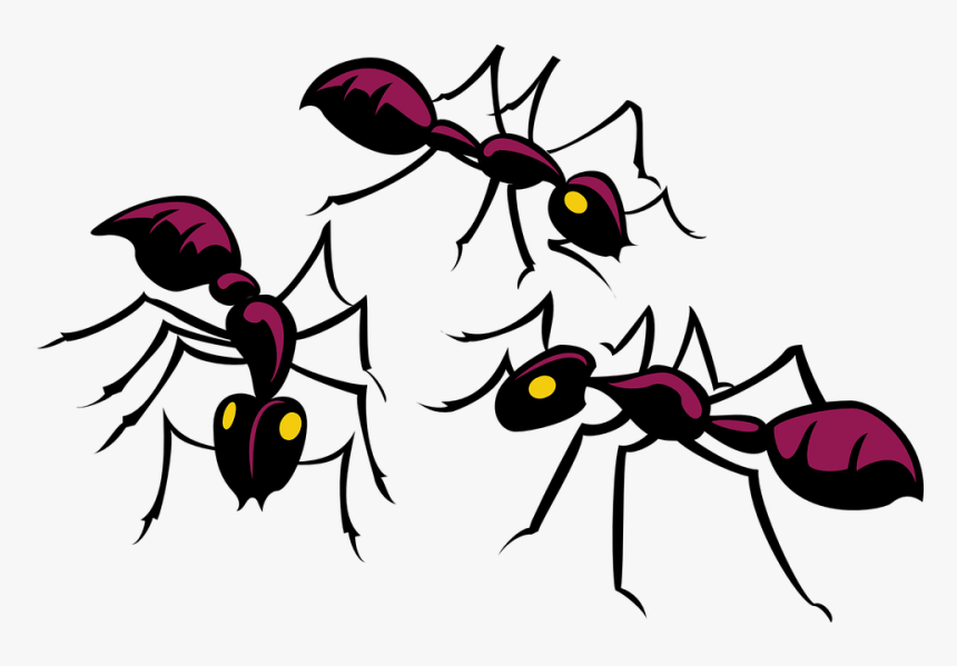 Ants Clipart, HD Png Download, Free Download