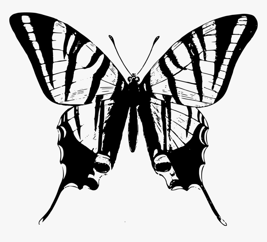 Black And White Clipart Butterflies - Butterfly Images Clipart B W, HD Png Download, Free Download