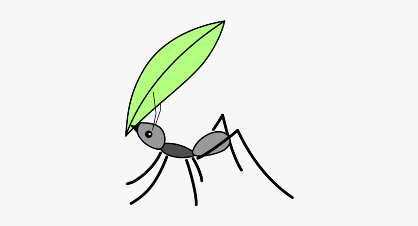 Fly,line Art,leaf, HD Png Download, Free Download