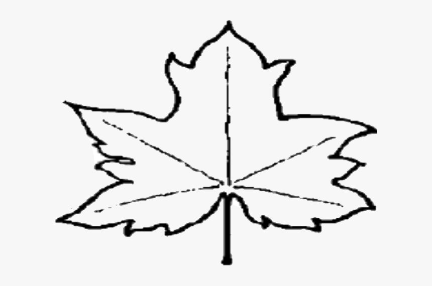 Transparent Fall Leaf Clip Art Png - Out Line Picture Of Leaves, Png Download, Free Download