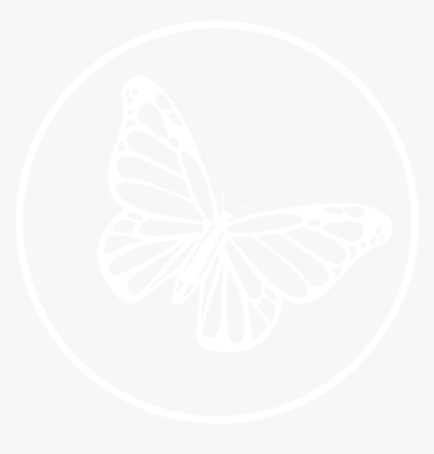 Conservation Blueprint Brush Footed Butterfly- - Brush-footed Butterfly, HD Png Download, Free Download