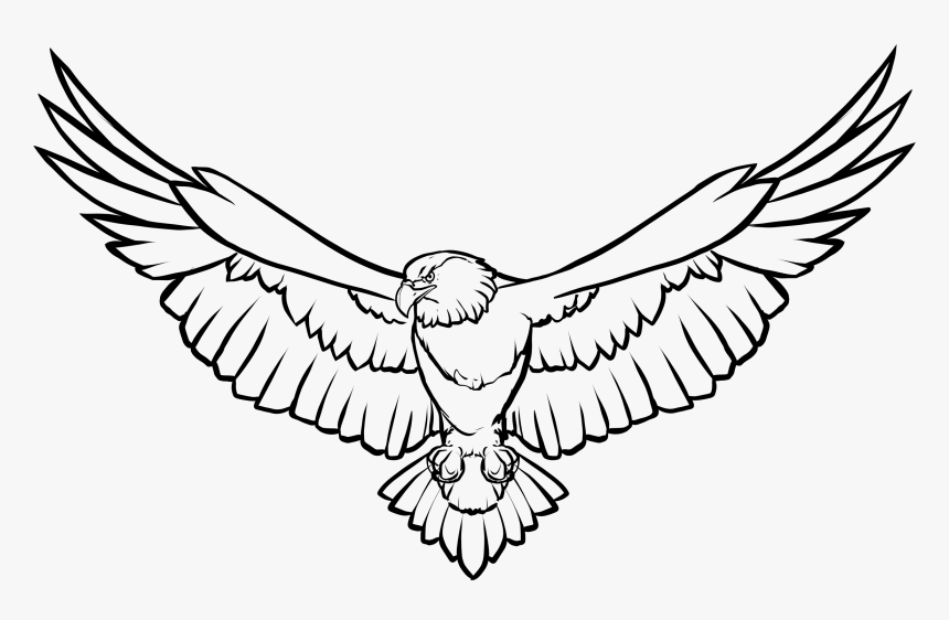 Eagle Clipart Black And White - Eagle Black And White Clipart, HD Png Download, Free Download