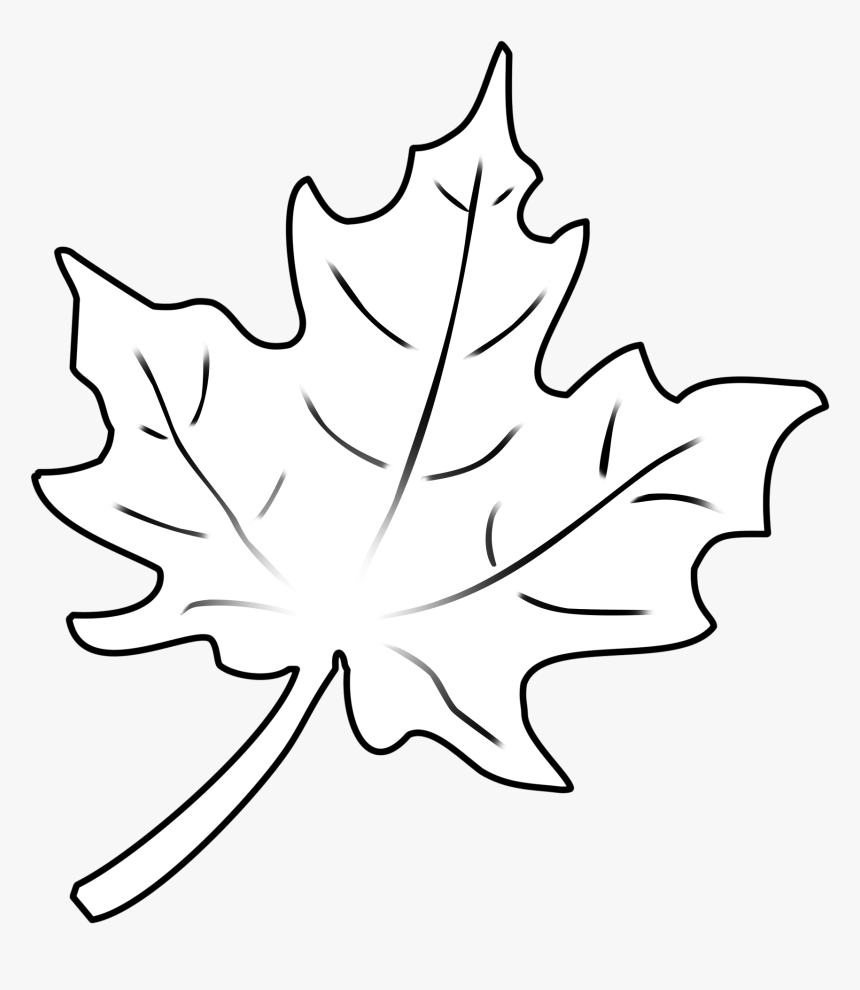 Transparent Fall Leaf Outline Png - Drawing Fall Leaf, Png Download, Free Download