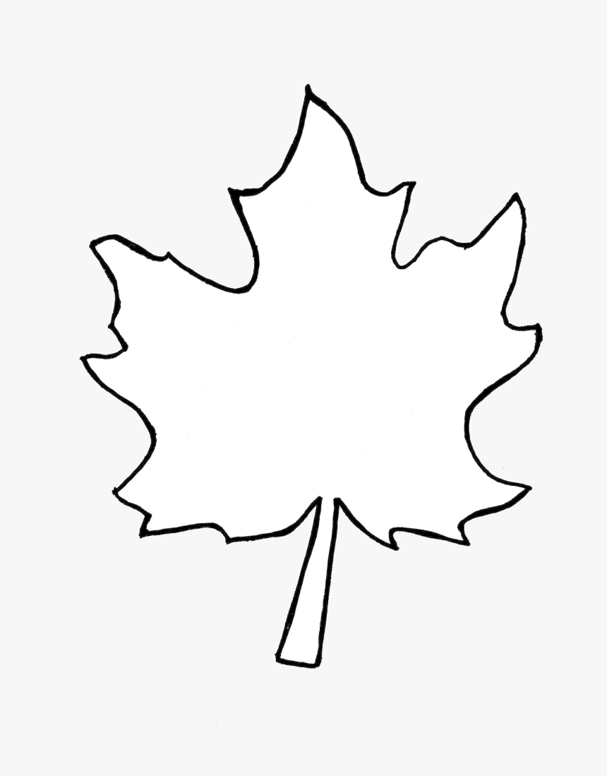 Leaf Outline Clipart Black And White Free Best Transparent - Leaf Transparent Clipart Black And White, HD Png Download, Free Download