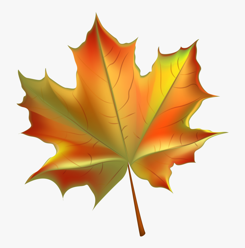 Transparent Leaf Pile Png - Fall Leaf Clip Art Png, Png Download, Free Download