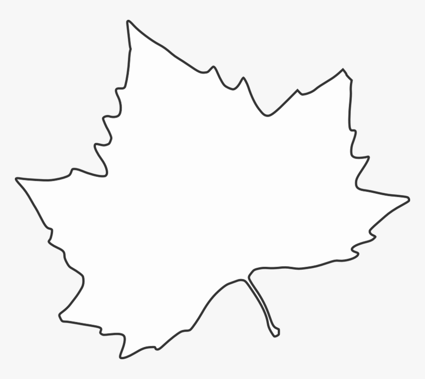 Transparent Leaf Clipart - Leaf Black And White Outline, HD Png Download, Free Download