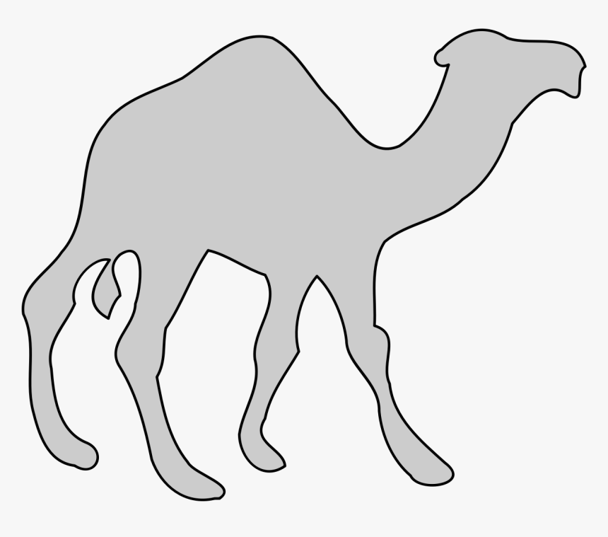 Camel,monochrome Photography,artwork - Cool Stuff Png, Transparent Png, Free Download