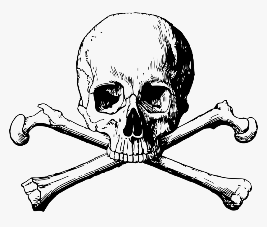 Skull And Crossbones Png - Skull And Bones Png, Transparent Png, Free Download